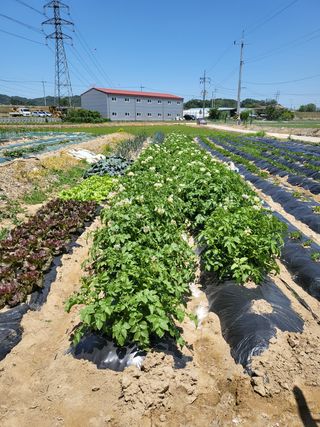 박순례님의 자유주제 · 사진전 작성글 사진