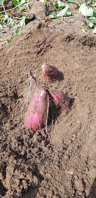 박순례님의 자유주제 · 사진전 작성글 사진