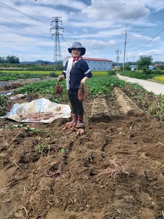 박순례님의 자유주제 · 사진전 작성글 사진