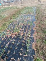 팜모닝 자유주제·사진전 게시글 이미지