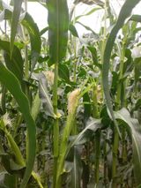 팜모닝 자유주제·사진전 게시글 이미지