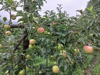  이순길 님의 자유주제 · 사진전 작성글 사진