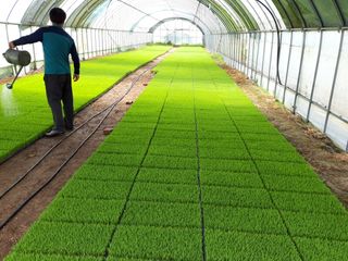  이순길 님의 자유주제 · 사진전 작성글 사진