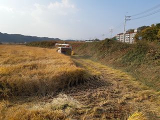 조위래님의 자유주제 · 사진전 작성글 사진
