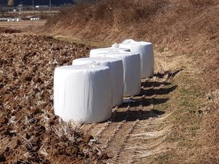 조위래님의 자유주제 · 사진전 작성글 사진