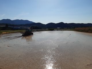 조위래님의 자유주제 · 사진전 작성글 사진