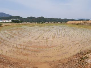 조위래님의 자유주제 · 사진전 작성글 사진