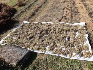 조위래님의 자유주제 · 사진전 작성글 사진