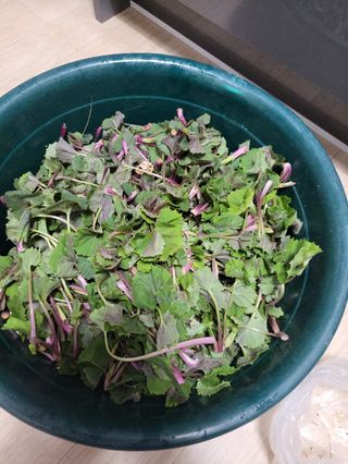 진주 김증수님의 자유주제 · 사진전 작성글 사진