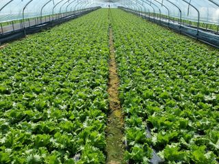 진주 김증수님의 자유주제 · 사진전 작성글 사진