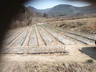 신현주님의 자유주제 · 사진전 작성글 사진