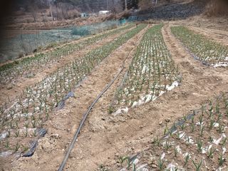 신현주님의 자유주제 · 사진전 작성글 사진