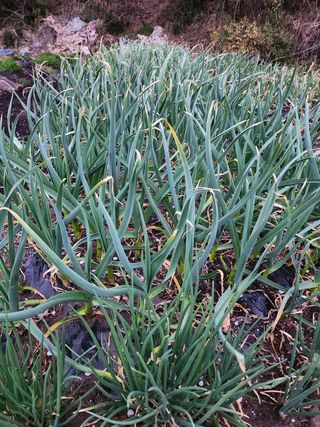 김영주님의 자유주제 · 자유게시판 작성글 사진