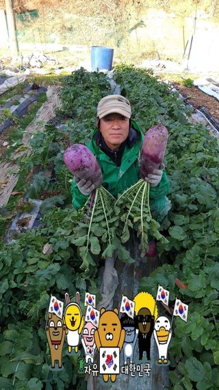 안수복님의 자유주제 · 사진전 작성글 사진