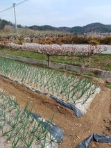 팜모닝 자유주제·사진전 게시글 이미지