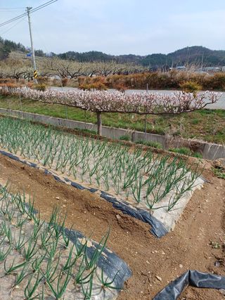 최동주님의 자유주제 · 사진전 작성글 사진