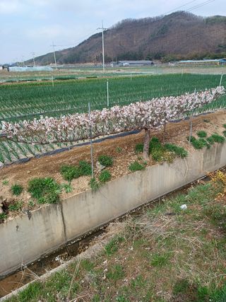 최동주님의 자유주제 · 사진전 작성글 사진