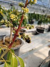 팜모닝 기타작물·자유게시판 게시글 이미지