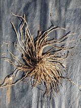 팜모닝 · 게시글 이미지