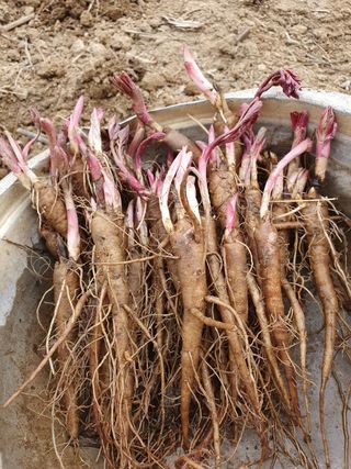 매실향기차향기님의 자유주제 · 사진전 작성글 사진