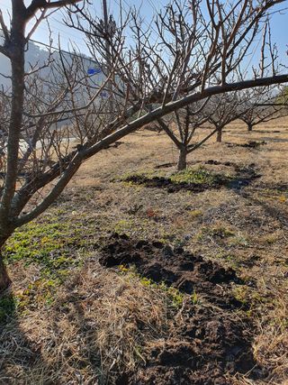 매실향기차향기님의 자유주제 · 사진전 작성글 사진