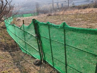 매실향기차향기님의 자유주제 · 사진전 작성글 사진