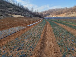 임진환님의 자유주제 · 사진전 작성글 사진
