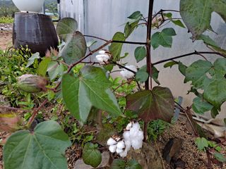 알 수 없음님의 자유주제 · 사진전 작성글 사진