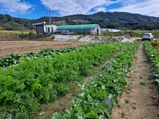 알 수 없음님의 자유주제 · 사진전 작성글 사진