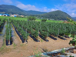 알 수 없음님의 자유주제 · 사진전 작성글 사진