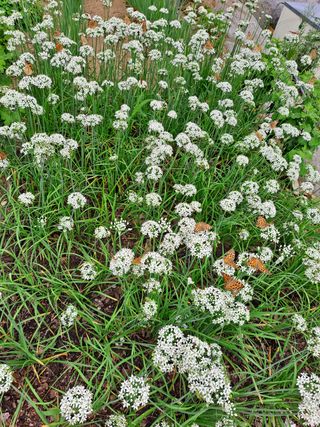 알 수 없음님의 자유주제 · 사진전 작성글 사진