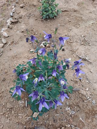 알 수 없음님의 자유주제 · 사진전 작성글 사진