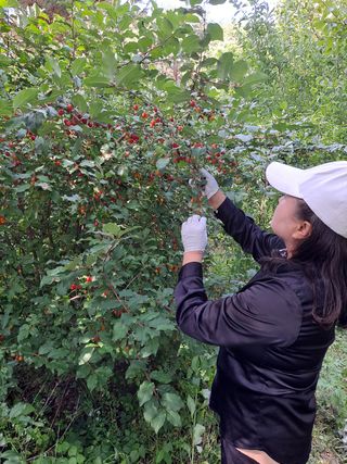 알 수 없음님의 자유주제 · 사진전 작성글 사진