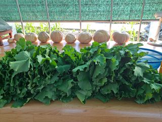 알 수 없음님의 자유주제 · 사진전 작성글 사진