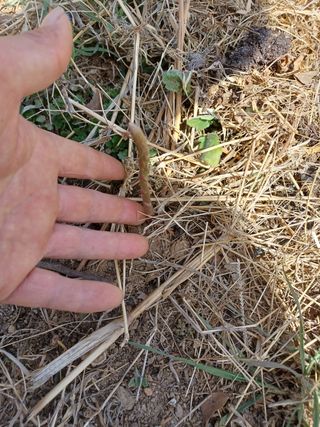 알 수 없음님의 기타작물 · 자유게시판 작성글 사진