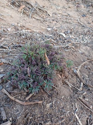 알 수 없음님의 기타작물 · 자유게시판 작성글 사진