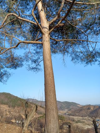 알 수 없음님의 기타작물 · 자유게시판 작성글 사진