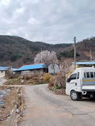 알 수 없음님의 기타작물 · 자유게시판 작성글 사진