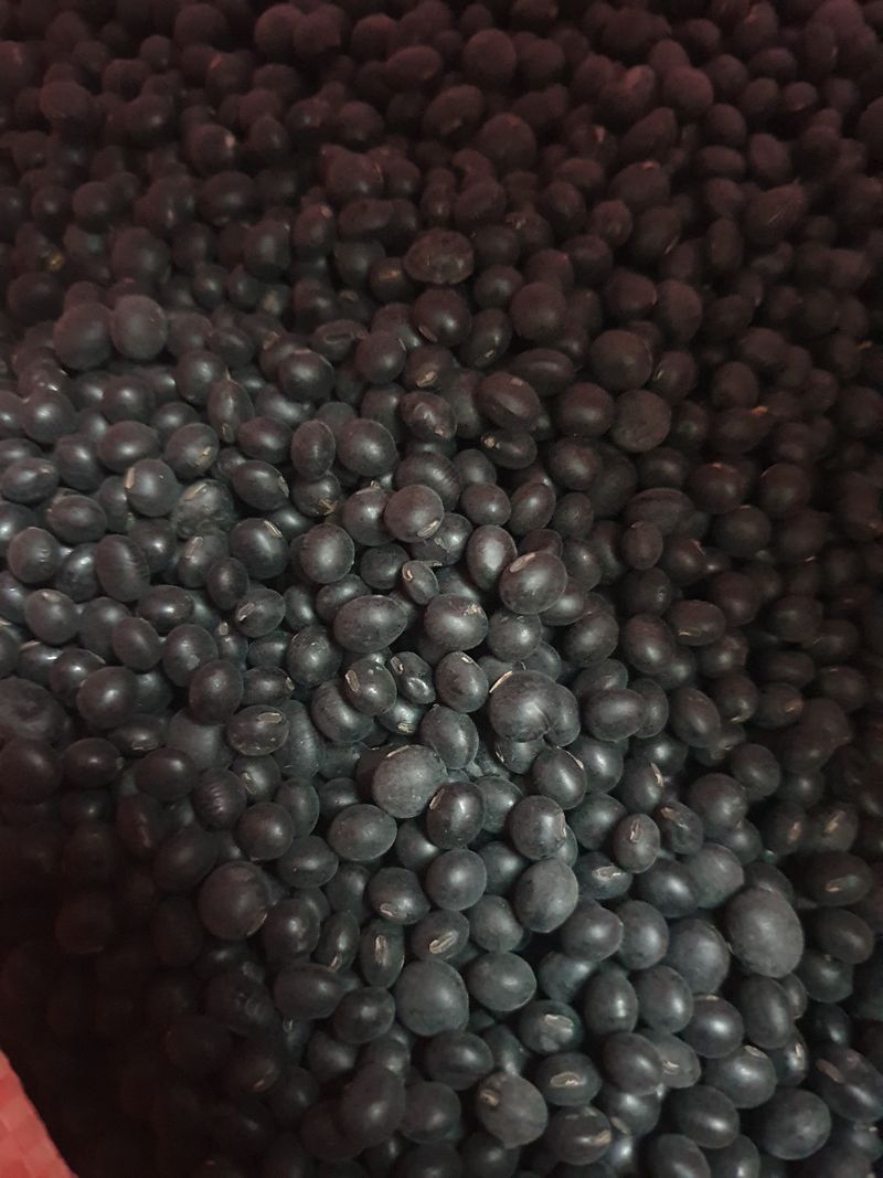 장터 상품 [쥐눈이콩5kg] 썸네일