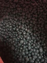 팜모닝 · 게시글 이미지