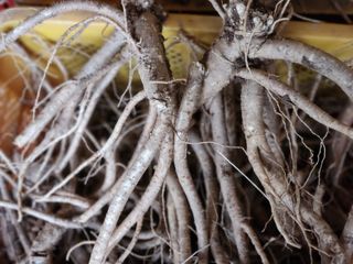 소병래님의 작성글 사진