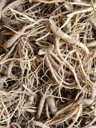 소병래님의 작성글 사진