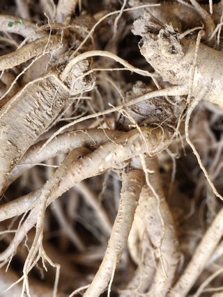 소병래님의 작성글 사진