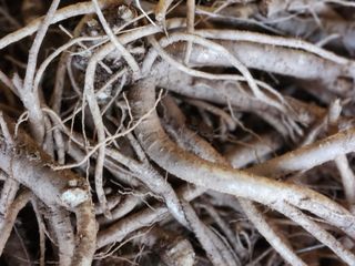 소병래님의 작성글 사진