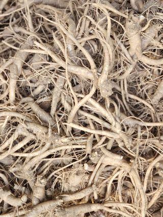 소병래님의 작성글 사진