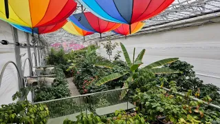 화성커피식물원님의 자유주제 · 사진전 작성글 사진