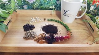 화성커피식물원님의 자유주제 · 사진전 작성글 사진