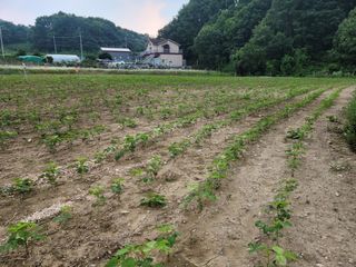 오이20510님의 자유주제 · 사진전 작성글 사진