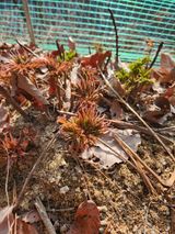 팜모닝 자유주제·사진전 게시글 이미지