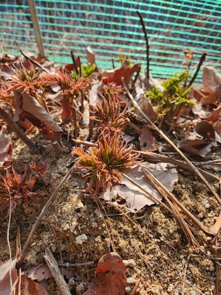 귀산촌님의 자유주제 · 사진전 작성글 사진